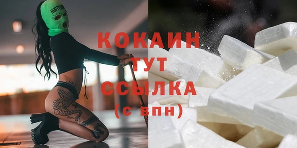 крисы Алзамай