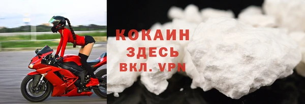 крисы Алзамай