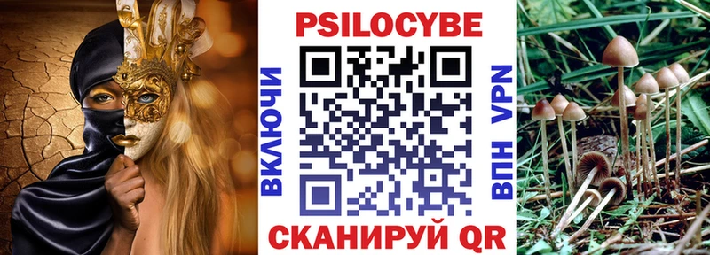 Псилоцибиновые грибы GOLDEN TEACHER  закладка  Устюжна 